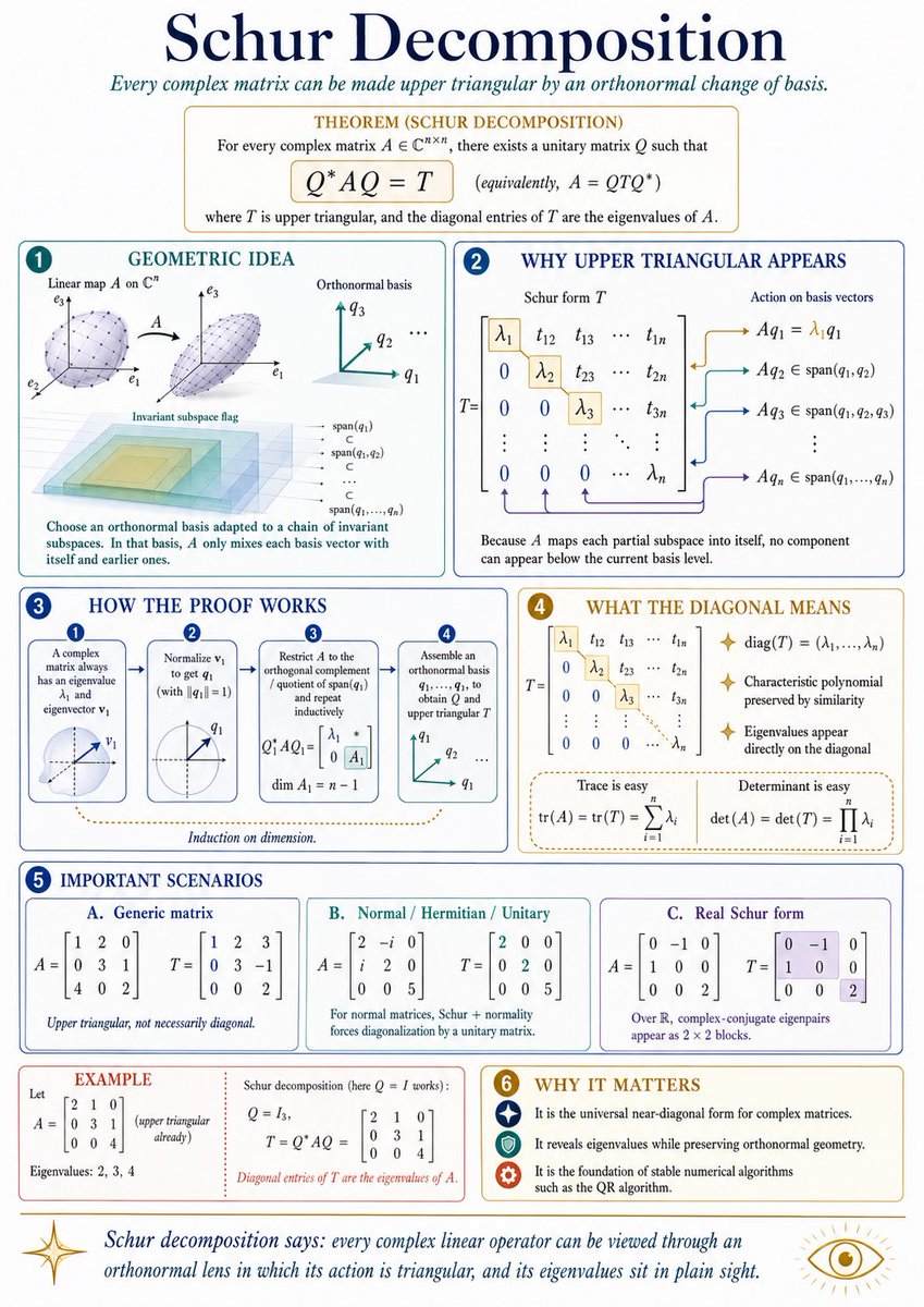 Mathematical Concept Visualization Infographic
