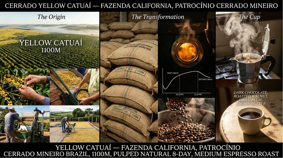 Coffee's Journey Board: Documentary Photography