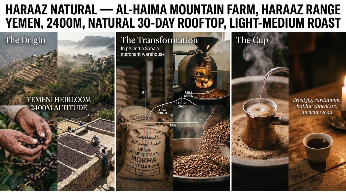 Coffee's Journey Board: Documentary Photography